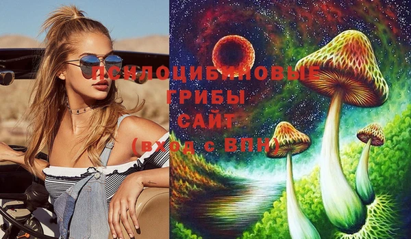 амф Абинск