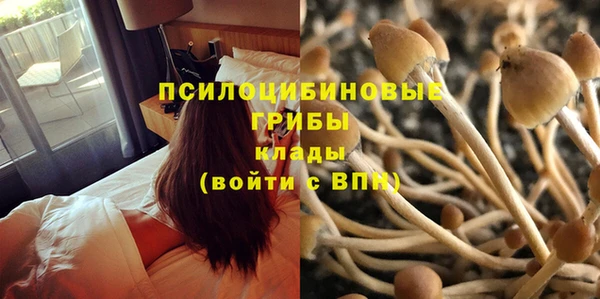 mdpv Абаза
