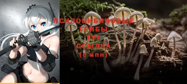 ГАЛЛЮЦИНОГЕННЫЕ ГРИБЫ Абдулино