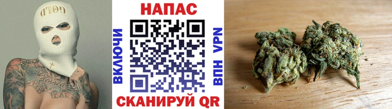 Конопля ГИДРОПОН Абдулино